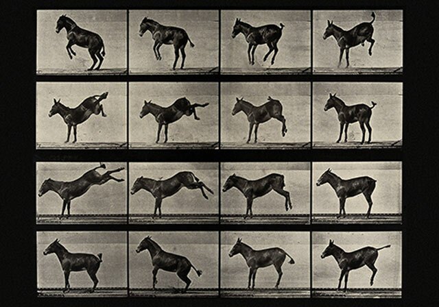 Quattro cartoline Postcardcult dedicate a Eadweard Muybridge